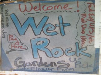 Any Dollar Amount Payment Customizer