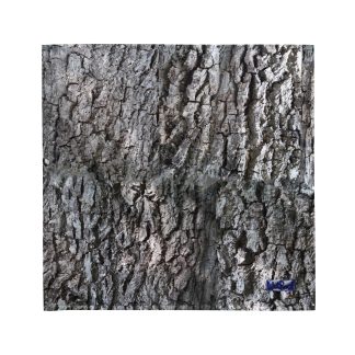 Old Walnut Bark Bandana