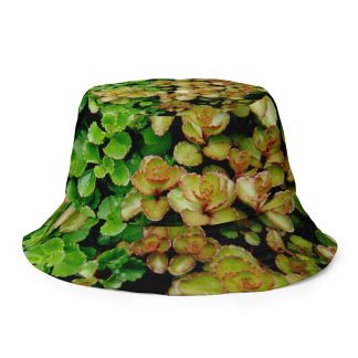 Sedum/BlueSky-Wetrock Reversible hat