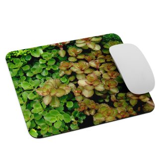 Wet Rock Sedum Mouse pad
