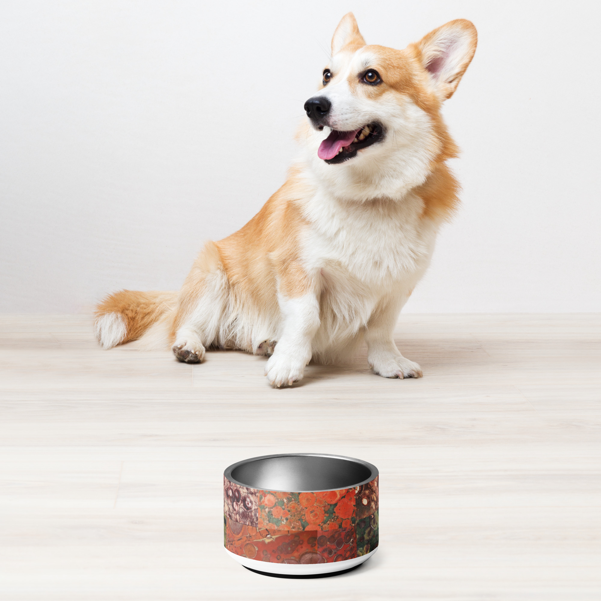 Orby Rocks 2 Pet bowl