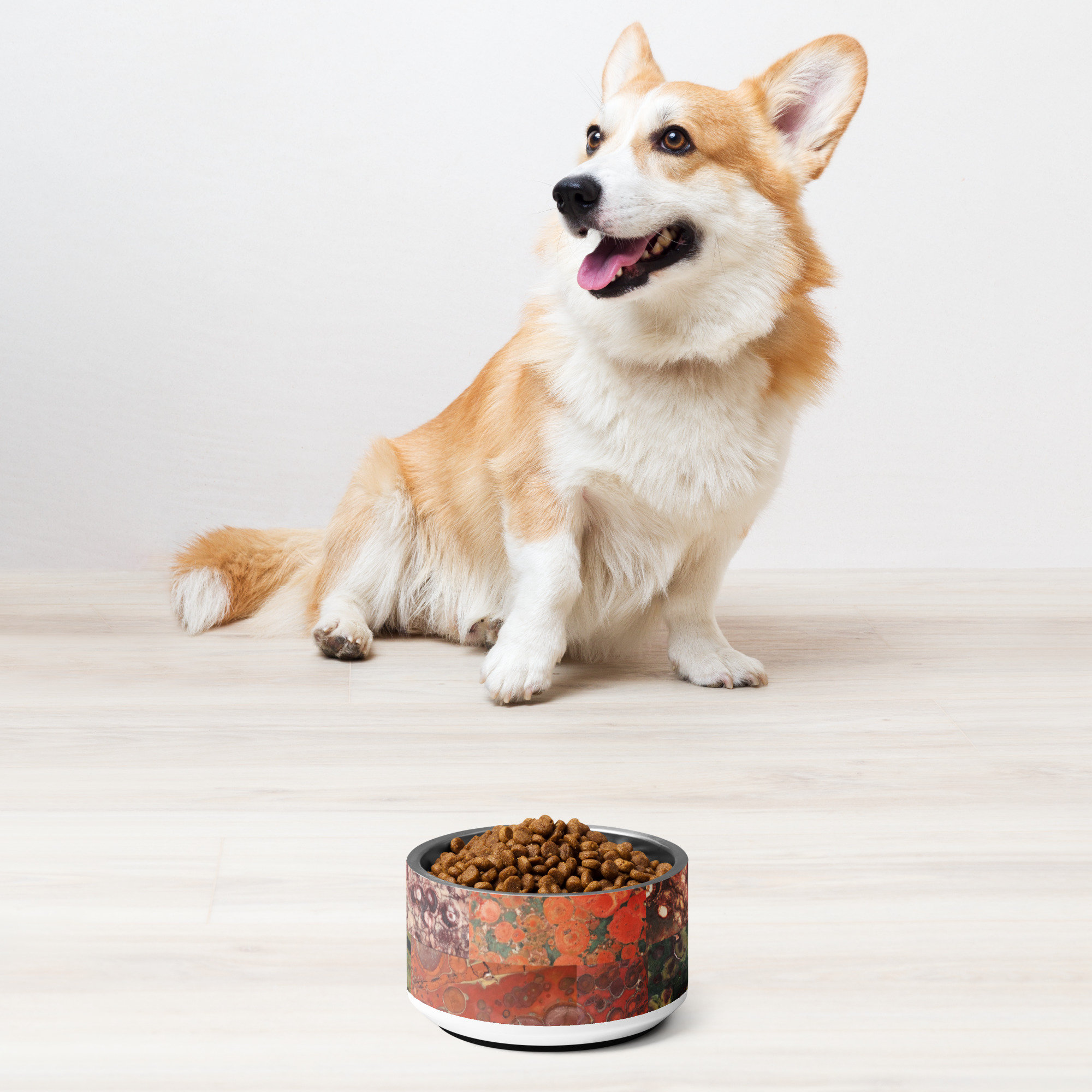 Orby Rocks 2 Pet bowl - Image 2