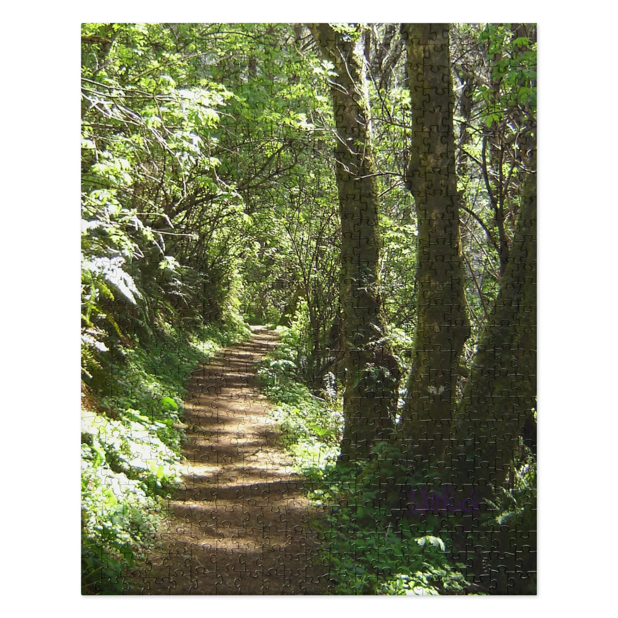 Oregon Coastal-Forest Path Jigsaw puzzle