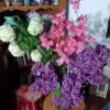 Cut-Flowers Picked, Arranged and Delivered - Image 10