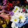 Cut-Flowers Picked, Arranged and Delivered - Image 7