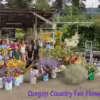 Cut-Flowers Picked, Arranged and Delivered - Image 8